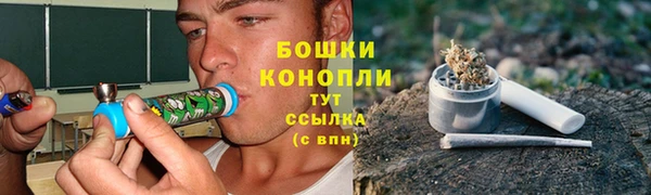 индика Бугульма