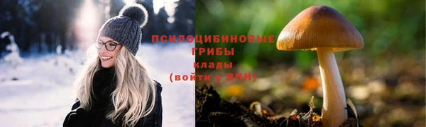 индика Бугульма