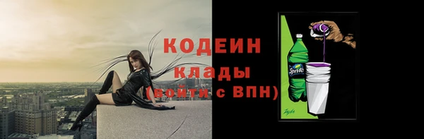 индика Бугульма