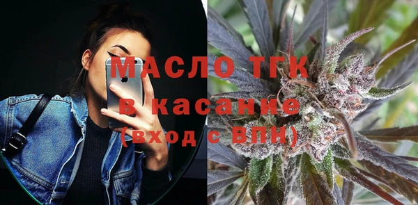 индика Бугульма