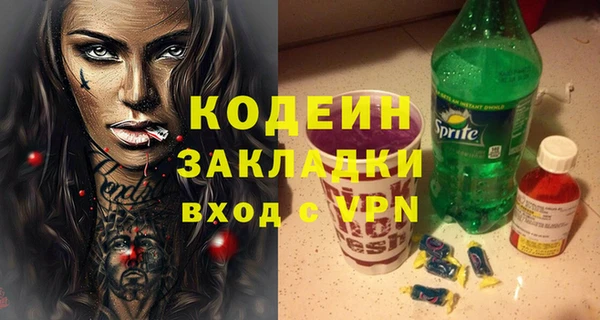 твердый Бородино