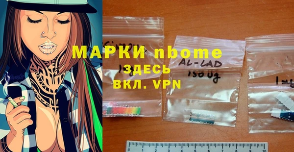 индика Бугульма