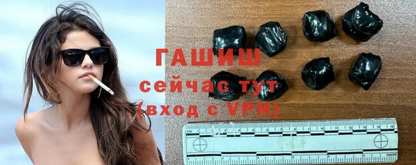 твердый Бородино
