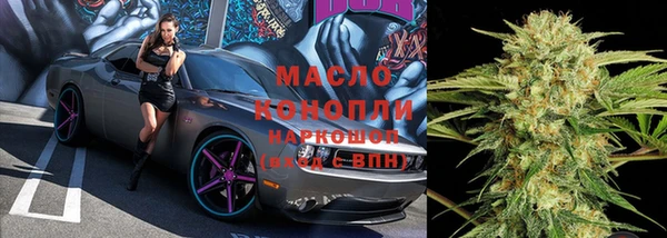 индика Бугульма
