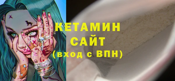 твердый Бородино