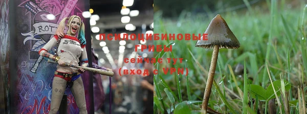 индика Бугульма