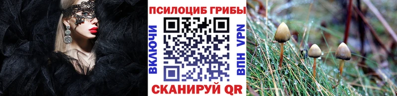Купить где  Шебекино  Псилоцибиновые грибы прущие грибы 