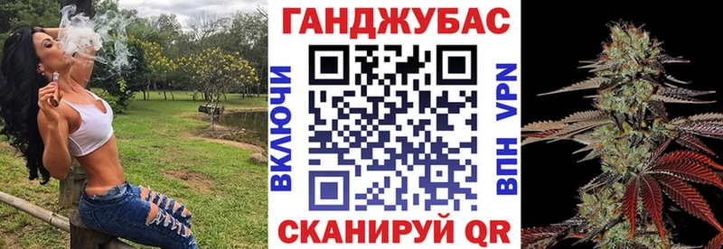 МАРИХУАНА план  Купить где  Шебекино 